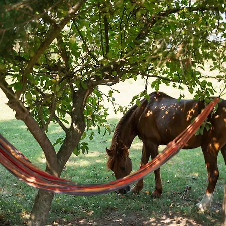 Na Ranczo Holiday home