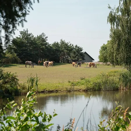Holiday home Na Ranczo Gniezno