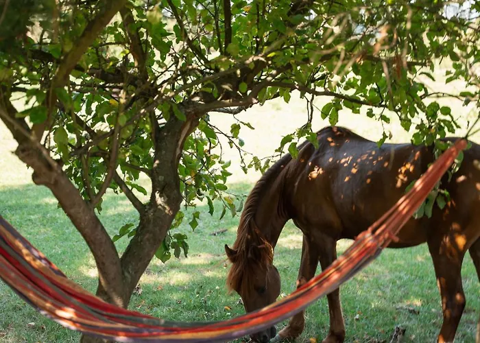 Na Ranczo Holiday home